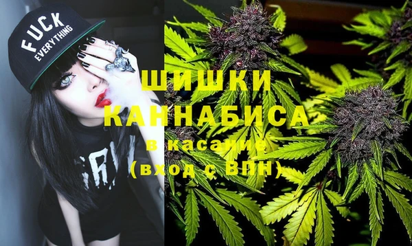 дмт Белокуриха