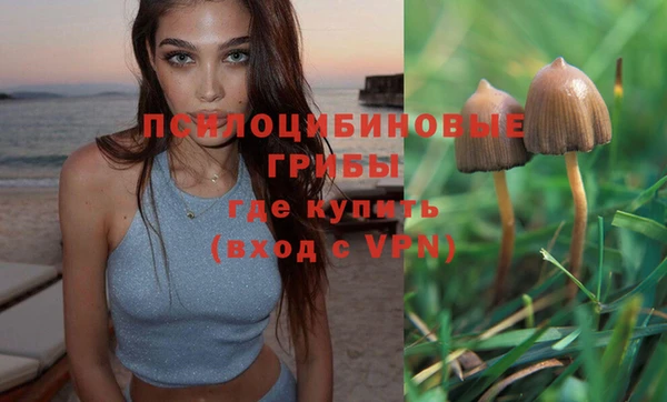 метадон Беломорск